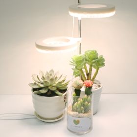 Home Office Desk Flower And Plant Growth Lamp (Option: Full spectrum-Doubleheaded sunlight)